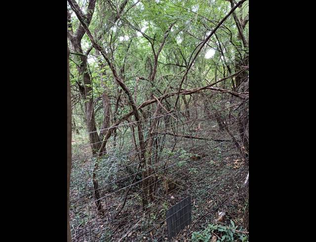 2,000M² VACANT LAND FOR SALE IN SCHOEMANSVILLE